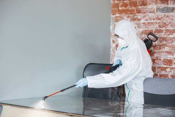 Trusted Pleasureville, KY Mold Removal & Remediation Experts